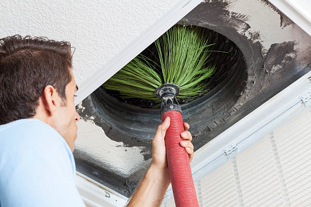 Best Emergency Air Duct Cleaning  in Penitas, TX